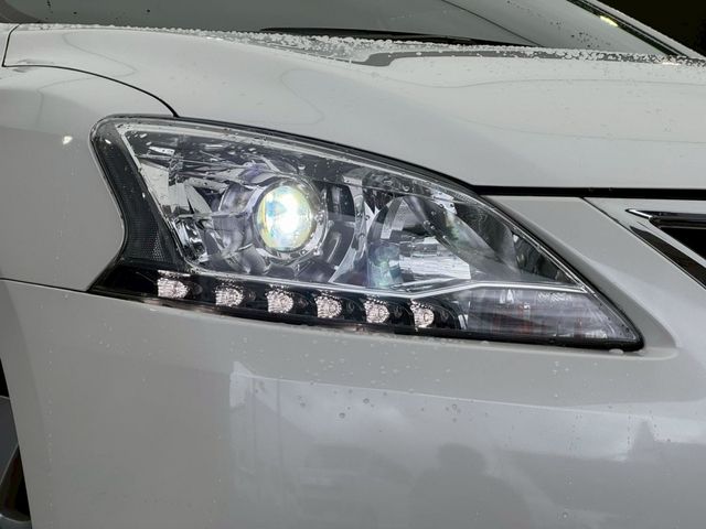 Sylphy