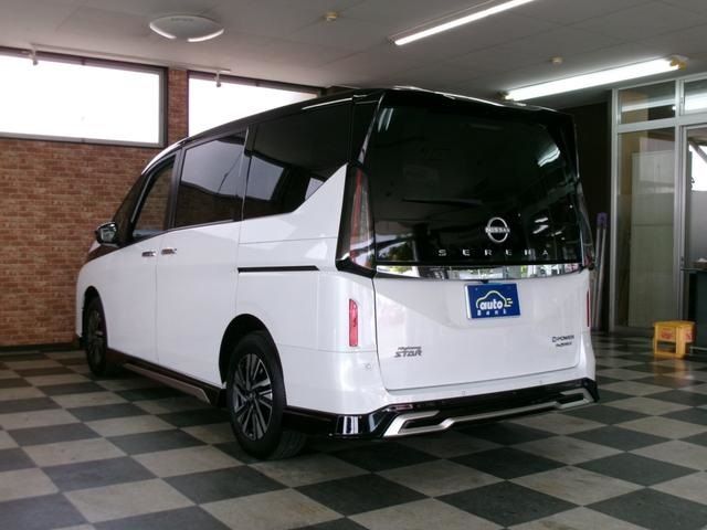 SERENA WG 4WD