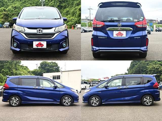 FREED plus HYBRID