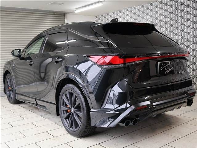 LEXUS RX500h