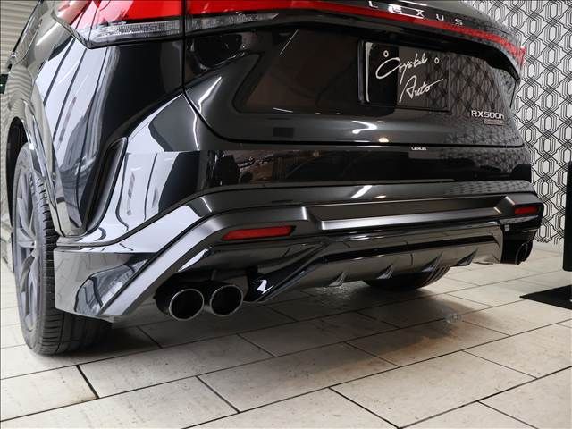 LEXUS RX500h