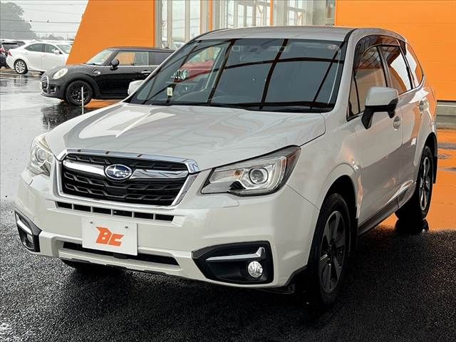 FORESTER