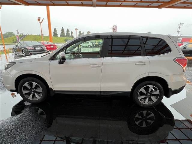 FORESTER