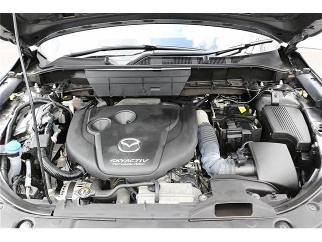 CX-8