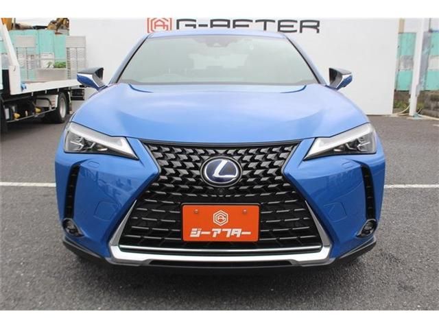 LEXUS UX300e