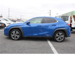 LEXUS UX300e