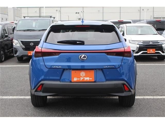 LEXUS UX300e