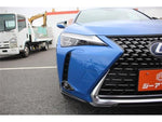 LEXUS UX300e