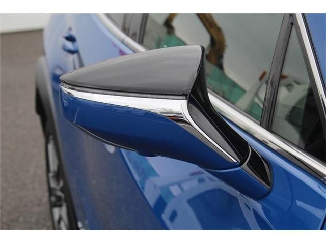 LEXUS UX300e
