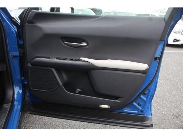 LEXUS UX300e