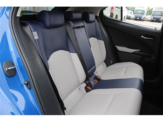 LEXUS UX300e