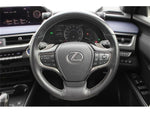 LEXUS UX300e