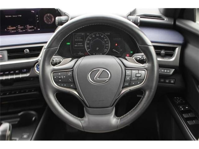LEXUS UX300e