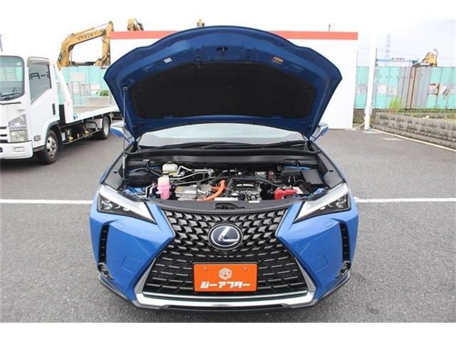 LEXUS UX300e