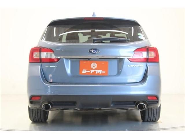 LEVORG
