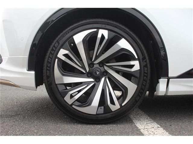 CROWN SPORT