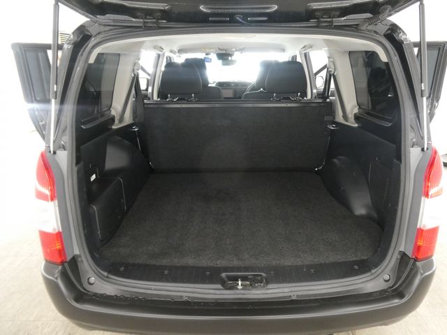 PROBOX van HYBRID