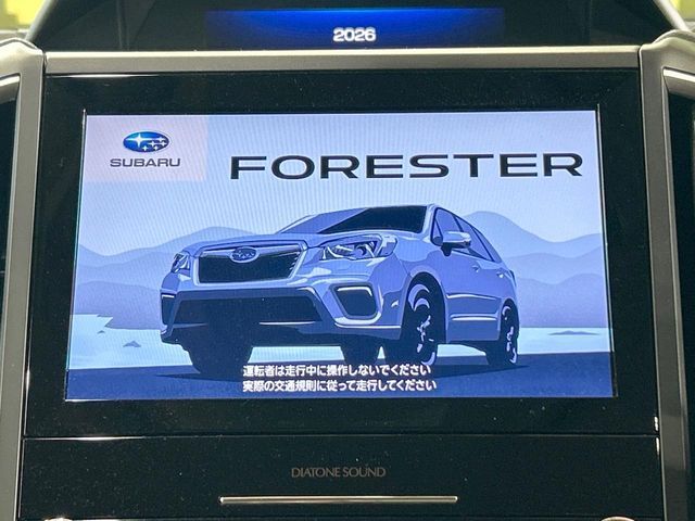FORESTER