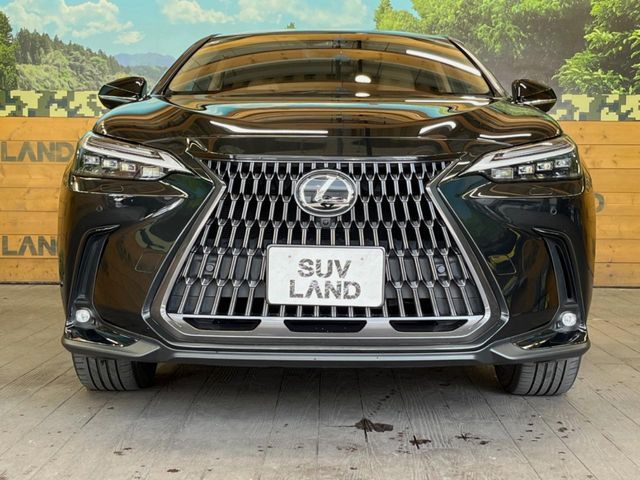 LEXUS NX350h