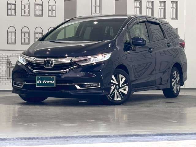 SHUTTLE HYBRID