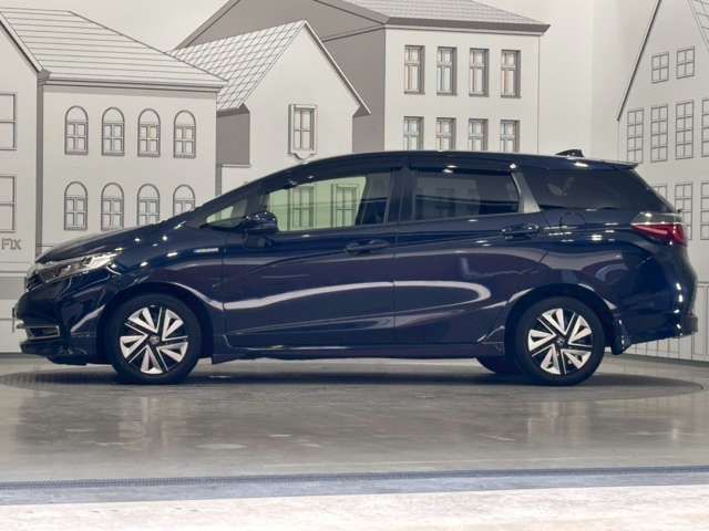 SHUTTLE HYBRID