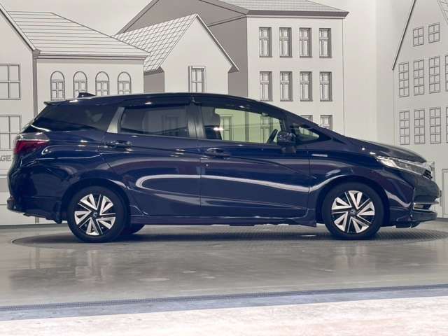 SHUTTLE HYBRID