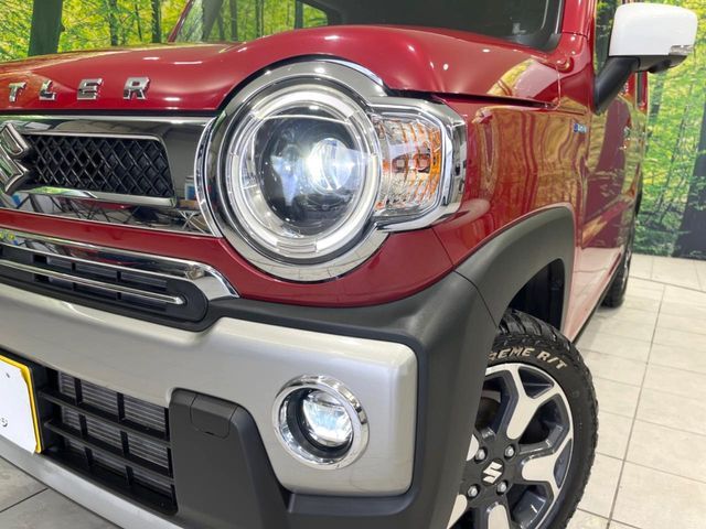 HUSTLER 4WD