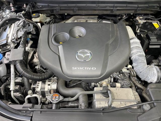 CX-8