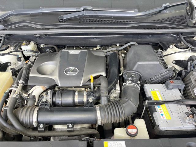 LEXUS NX200t