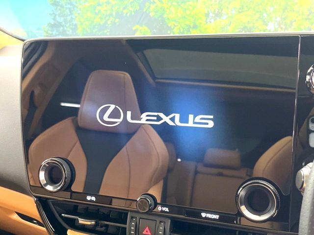 LEXUS NX350h
