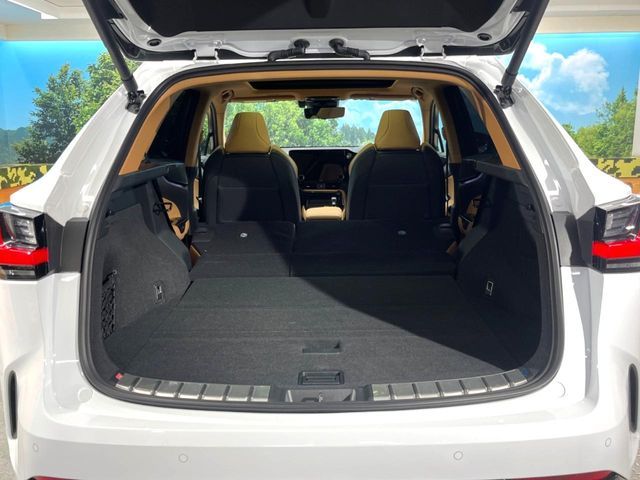 LEXUS NX350h