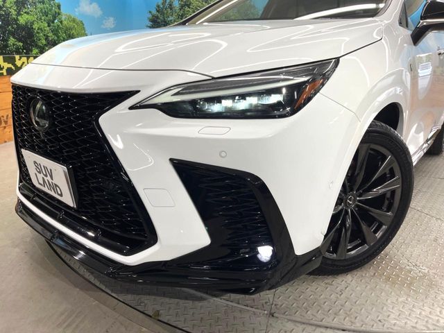 LEXUS NX350h
