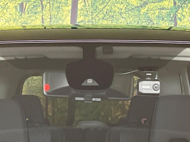 SERENA  WG