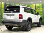 LANDCRUISER 250
