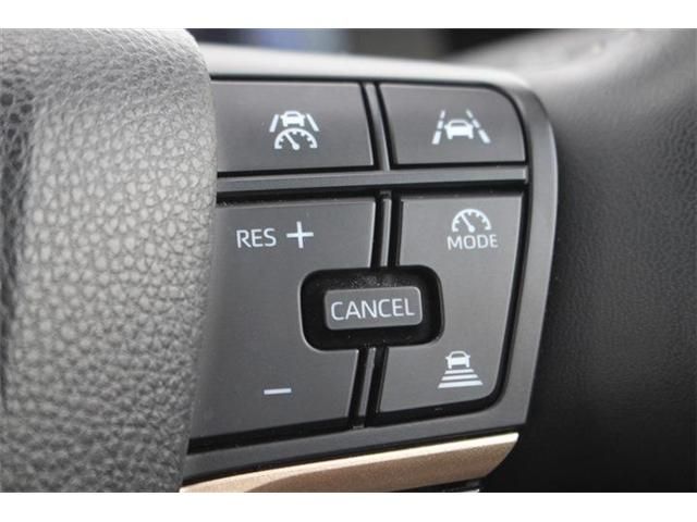 CROWN SPORT