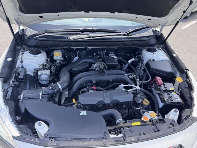 LEGACY OUTBACK