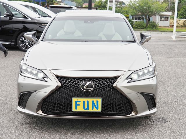 LEXUS ES300h