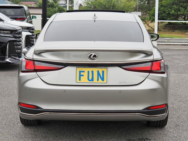 LEXUS ES300h