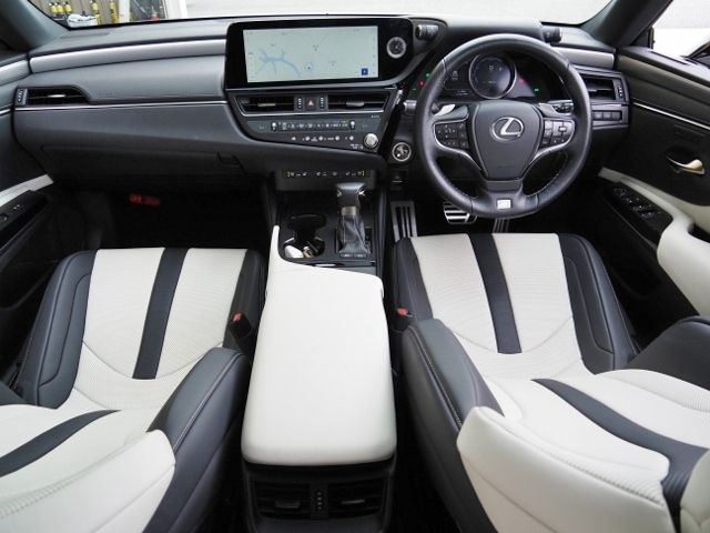 LEXUS ES300h