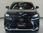 LEXUS NX300