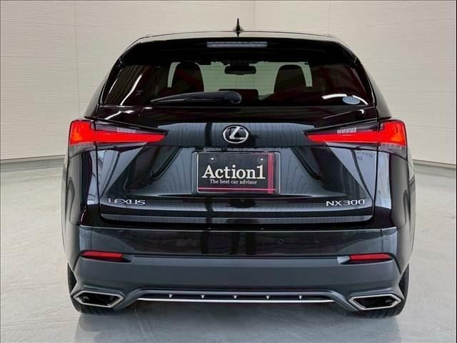 LEXUS NX300