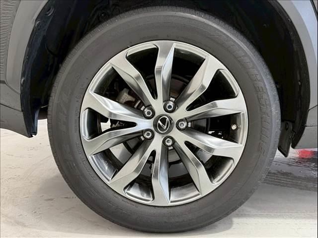 LEXUS NX300