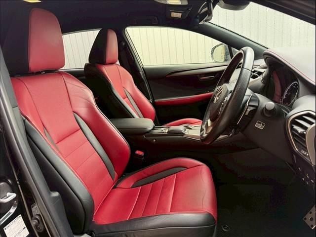 LEXUS NX300