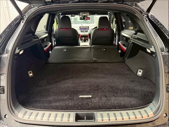 LEXUS NX300