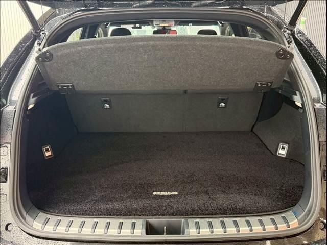 LEXUS NX300