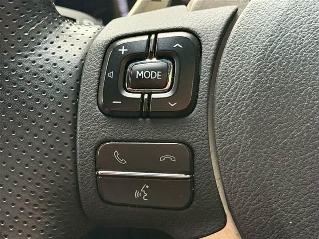 LEXUS NX300