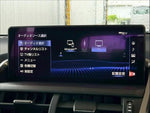 LEXUS NX300