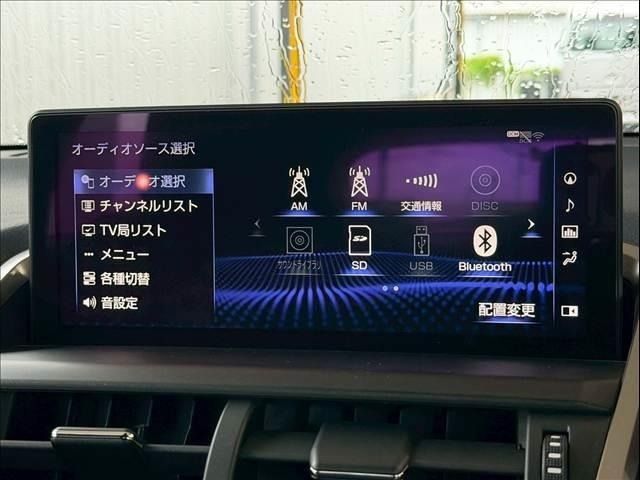 LEXUS NX300