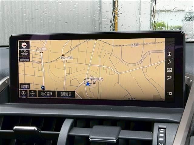 LEXUS NX300