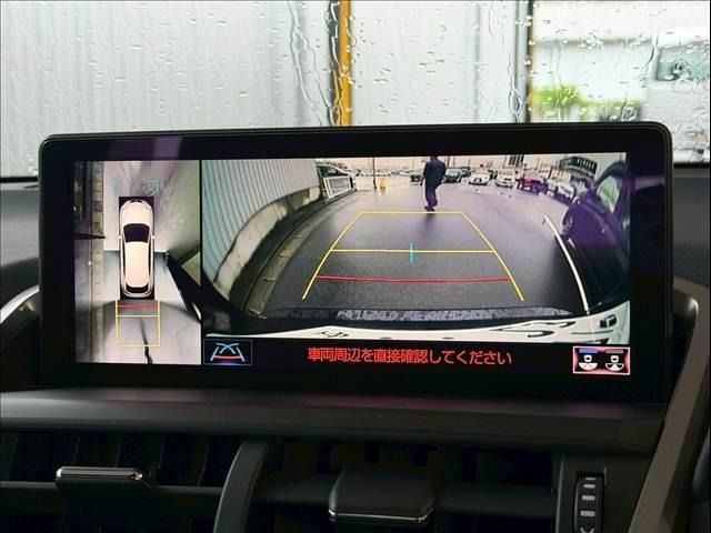 LEXUS NX300